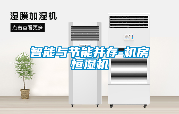 智能與節能并存-機房恒濕機