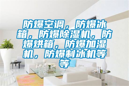 防爆空調，防爆冰箱，防爆除濕機，防爆烘箱，防爆加濕機，防爆制冰機等等