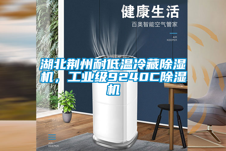 湖北荊州耐低溫冷藏除濕機，工業級9240C除濕機