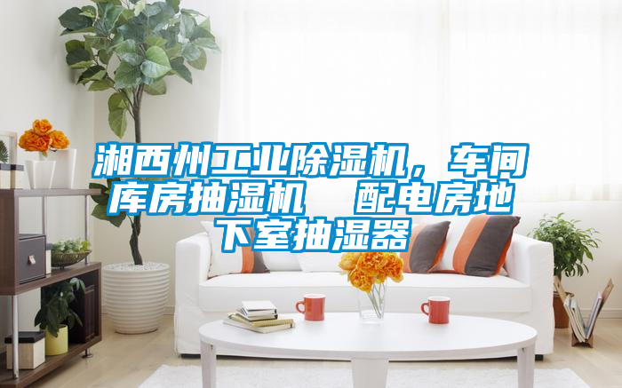 湘西州工業除濕機，車間庫房抽濕機  配電房地下室抽濕器