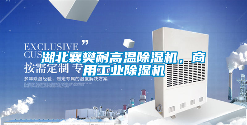 湖北襄樊耐高溫除濕機，商用工業除濕機