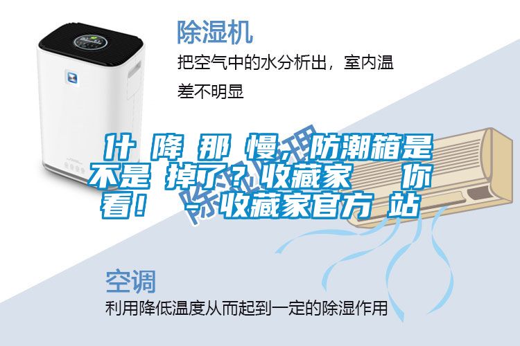 為什麼降濕那麼慢，防潮箱是不是壞掉了？收藏家實測給你看！ - 收藏家官方網站