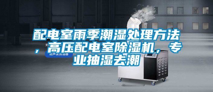 配電室雨季潮濕處理方法，高壓配電室除濕機，專業抽濕去潮