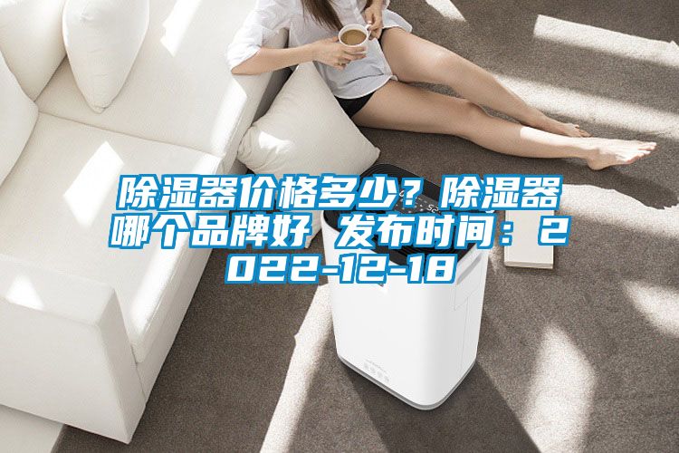 除濕器價格多少？除濕器哪個品牌好 發布時間：2022-12-18