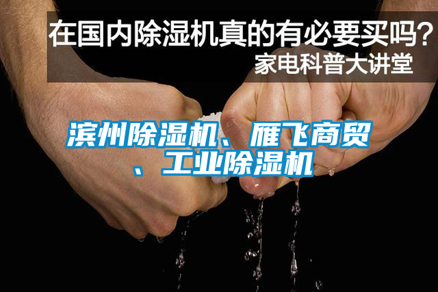 濱州除濕機、雁飛商貿、工業除濕機