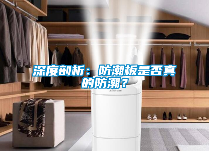 深度剖析：防潮板是否真的防潮？