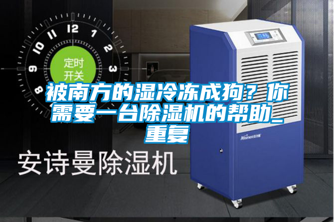 被南方的濕冷凍成狗？你需要一臺除濕機的幫助_重復