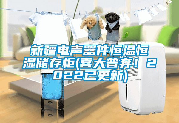 新疆電聲器件恒溫恒濕儲存柜(喜大普奔！2022已更新)