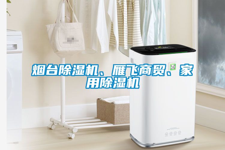 煙臺除濕機、雁飛商貿、家用除濕機