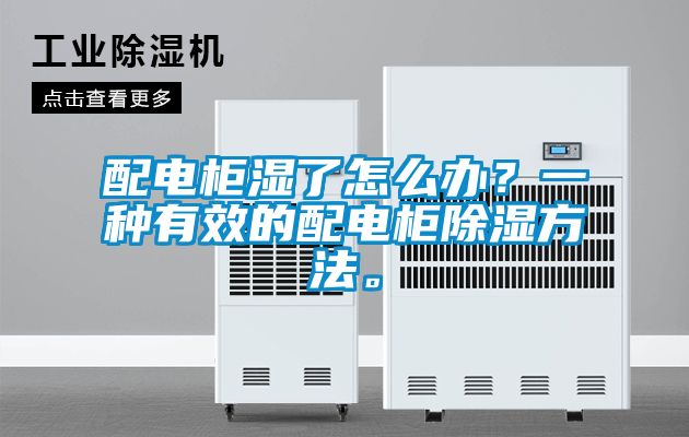 配電柜濕了怎么辦？一種有效的配電柜除濕方法。