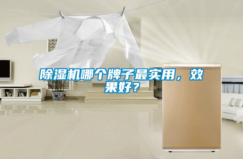 除濕機哪個牌子最實用，效果好？