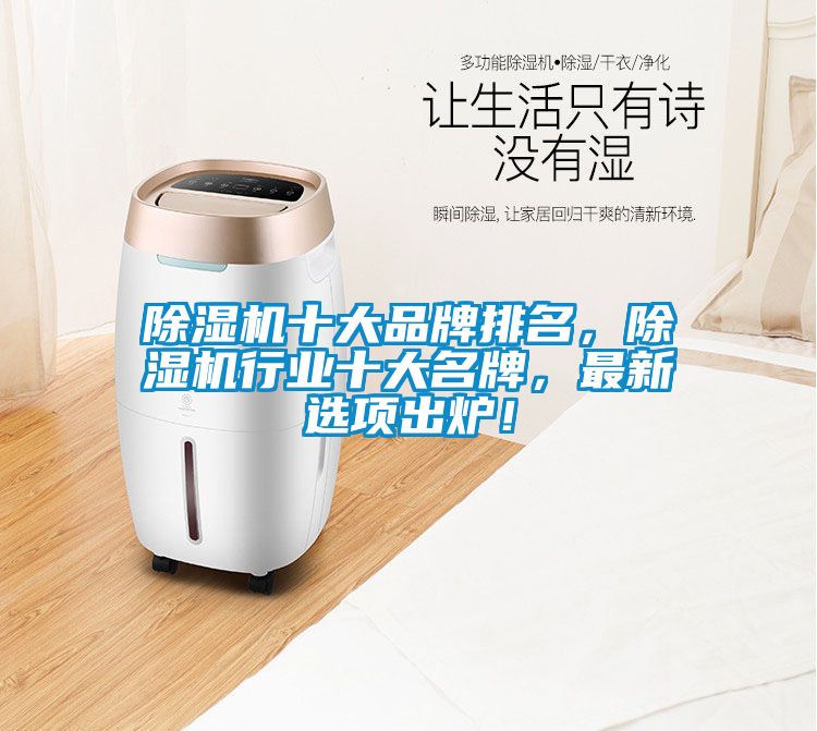 除濕機十大品牌排名，除濕機行業十大名牌，最新選項出爐！
