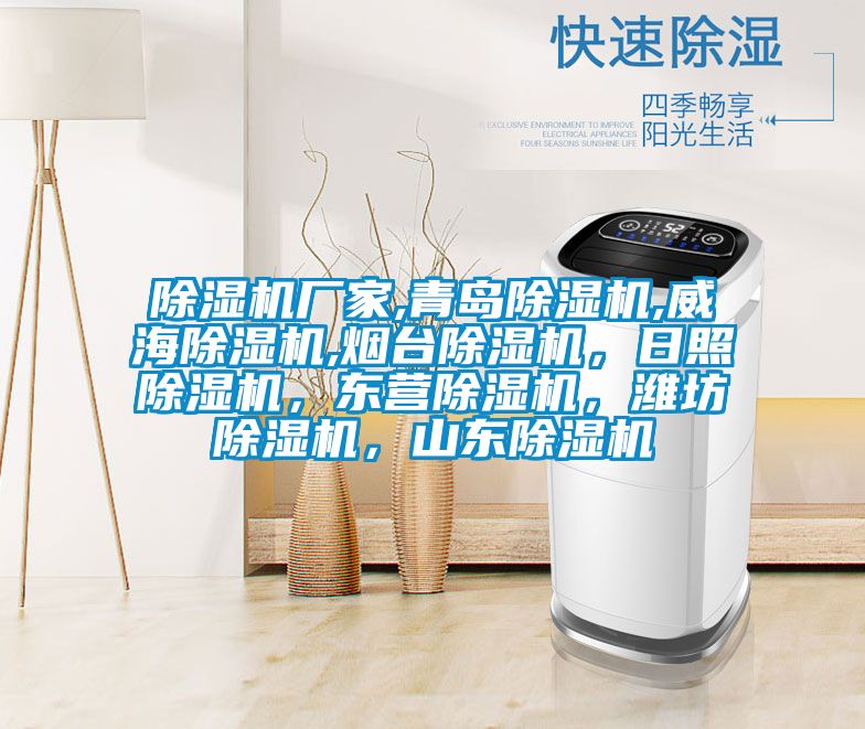 除濕機廠家,青島除濕機,威海除濕機,煙臺除濕機，日照除濕機，東營除濕機，濰坊除濕機，山東除濕機