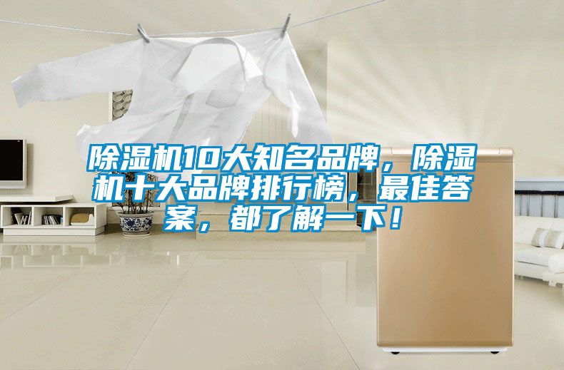 除濕機10大知名品牌，除濕機十大品牌排行榜，最佳答案，都了解一下！
