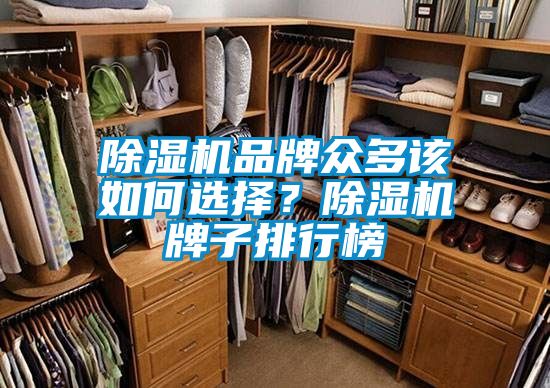 除濕機品牌眾多該如何選擇？除濕機牌子排行榜