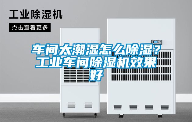 車間太潮濕怎么除濕？工業車間除濕機效果好