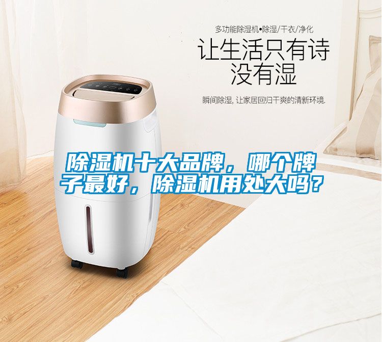 除濕機十大品牌，哪個牌子最好，除濕機用處大嗎？