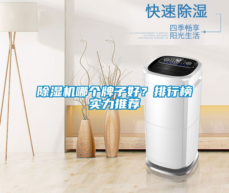 除濕機哪個牌子好？排行榜實力推薦