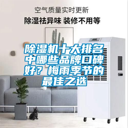 除濕機十大排名中哪些品牌口碑好？梅雨季節的最佳之選