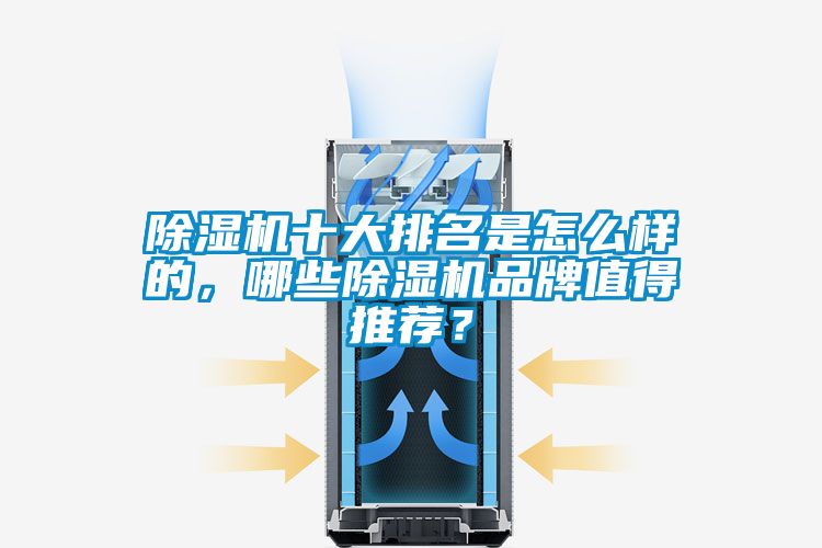 除濕機十大排名是怎么樣的，哪些除濕機品牌值得推薦？