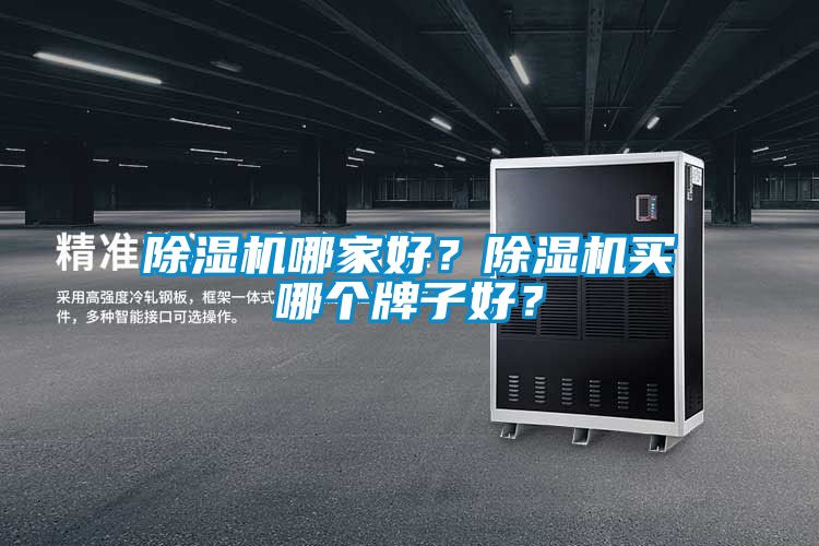 除濕機哪家好？除濕機買哪個牌子好？