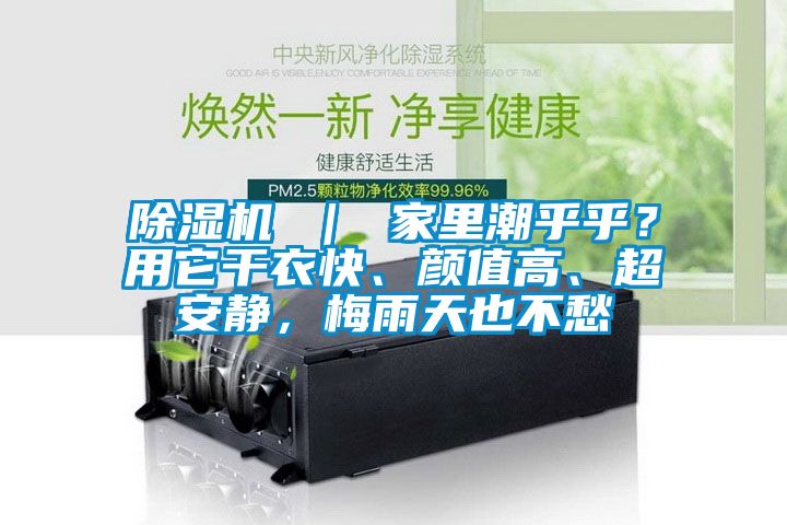 除濕機 ｜ 家里潮乎乎？用它干衣快、顏值高、超安靜，梅雨天也不愁