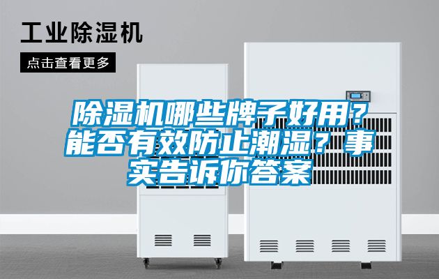 除濕機哪些牌子好用？能否有效防止潮濕？事實告訴你答案