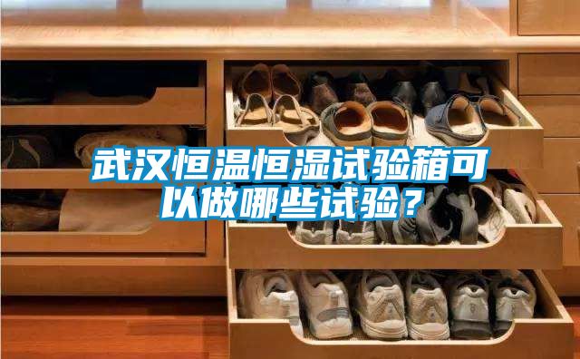 武漢恒溫恒濕試驗箱可以做哪些試驗？