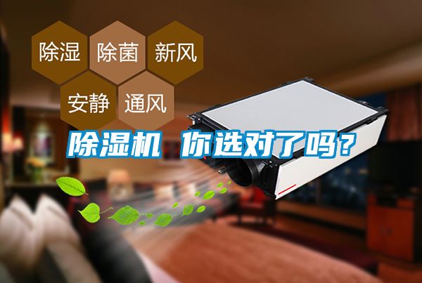 除濕機 你選對了嗎？