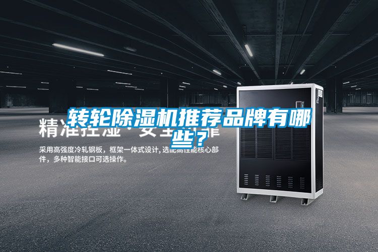 轉輪除濕機推薦品牌有哪些？