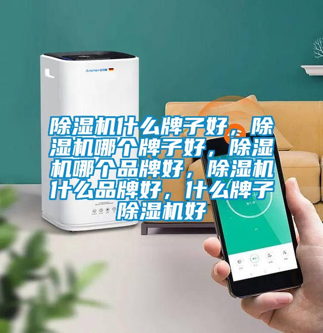 除濕機什么牌子好，除濕機哪個牌子好，除濕機哪個品牌好，除濕機什么品牌好，什么牌子除濕機好