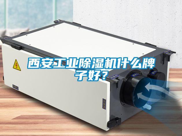西安工業除濕機什么牌子好？