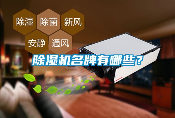 除濕機名牌有哪些？