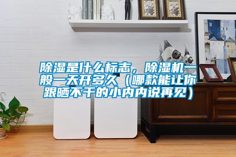除濕是什么標志，除濕機一般一天開多久（哪款能讓你跟曬不干的小內內說再見）