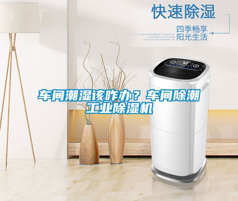 車間潮濕該咋辦？車間除潮工業除濕機
