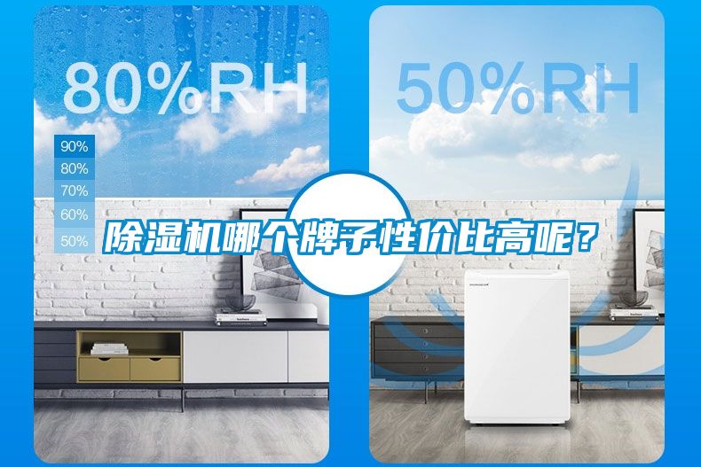 除濕機哪個牌子性價比高呢？