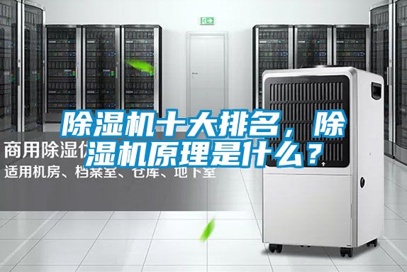 除濕機十大排名，除濕機原理是什么？