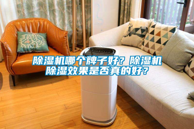 除濕機哪個牌子好？除濕機除濕效果是否真的好？