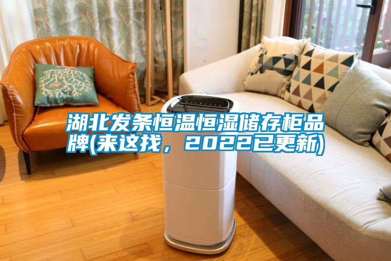 湖北發條恒溫恒濕儲存柜品牌(來這找，2022已更新)