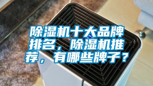 除濕機十大品牌排名，除濕機推薦，有哪些牌子？
