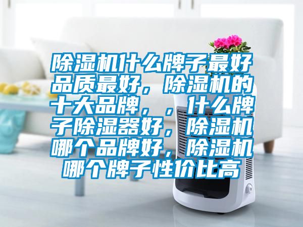 除濕機什么牌子最好品質最好，除濕機的十大品牌，，什么牌子除濕器好，除濕機哪個品牌好，除濕機哪個牌子性價比高
