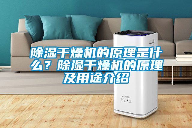 除濕干燥機的原理是什么？除濕干燥機的原理及用途介紹