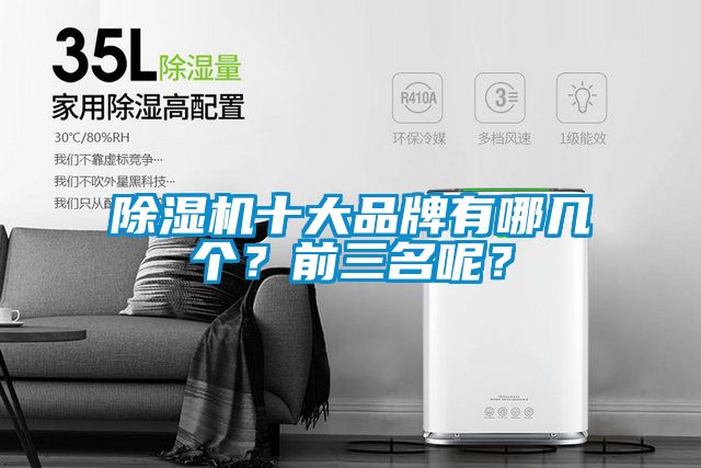 除濕機十大品牌有哪幾個？前三名呢？