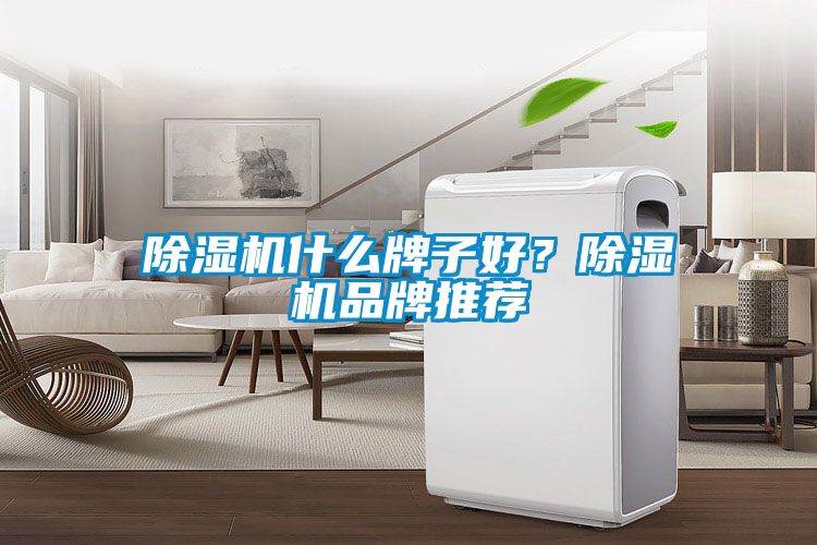 除濕機什么牌子好？除濕機品牌推薦