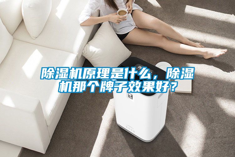 除濕機原理是什么，除濕機那個牌子效果好？