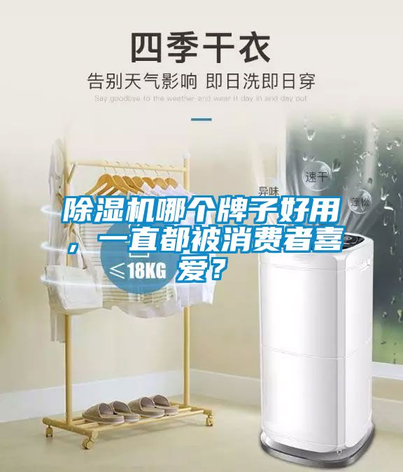 除濕機哪個牌子好用，一直都被消費者喜愛？