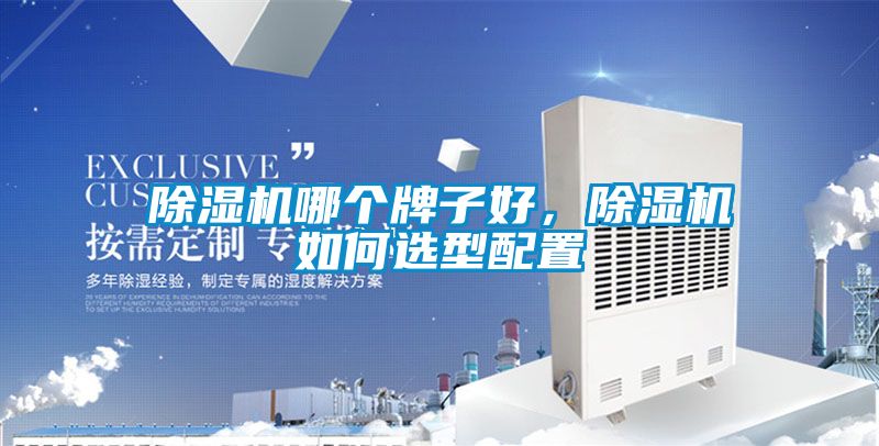 除濕機哪個牌子好，除濕機如何選型配置