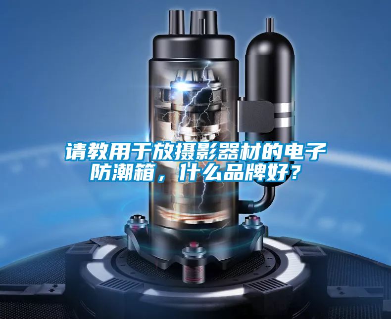 請教用于放攝影器材的電子防潮箱，什么品牌好？
