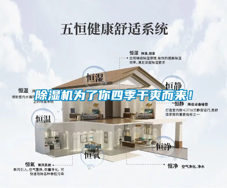 除濕機為了你四季干爽而來！