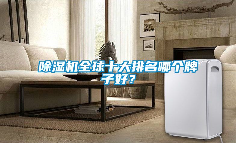 除濕機全球十大排名哪個牌子好？